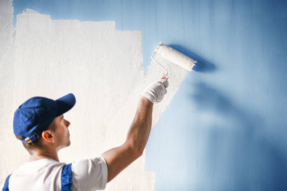 Comment choisir son revêtement mural ? Saint-Louis