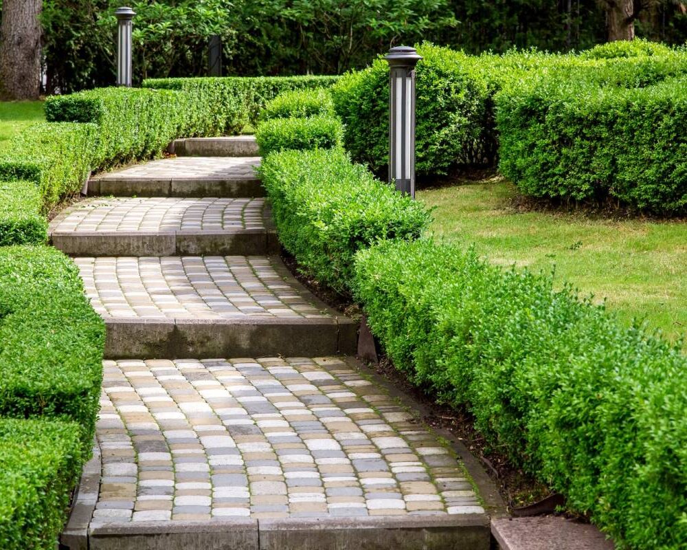 Photos page d&#8217;accueil Seloncourt 0