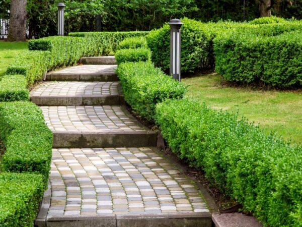 ADOBESTOCK_301270472 600X450 | HM déco HM Déco : aménagements extérieurs près d’Altkirch dans le Sundgau Valentigney 3